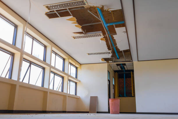 Best Water damage cleanup near me  in Hemby Bridge, NC