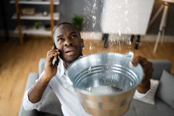 Best Water damage contractors near me  in Hemby Bridge, NC