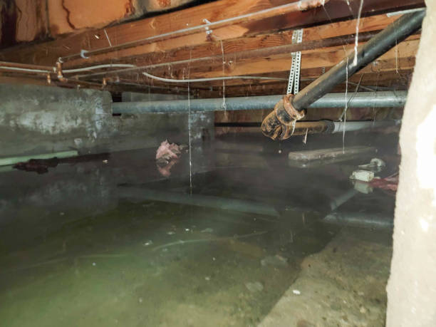 Best Water damage cleanup near me  in Hemby Bridge, NC