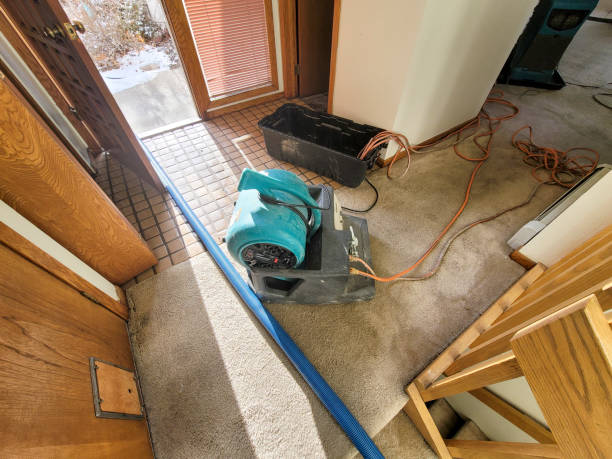 Reliable NC Water damage restoration Solutions