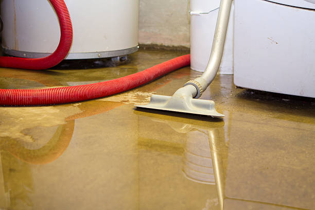 Best Commercial water damage restoration  in Hemby Bridge, NC