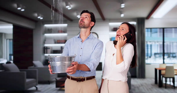 Best Basement water damage restoration  in Hemby Bridge, NC